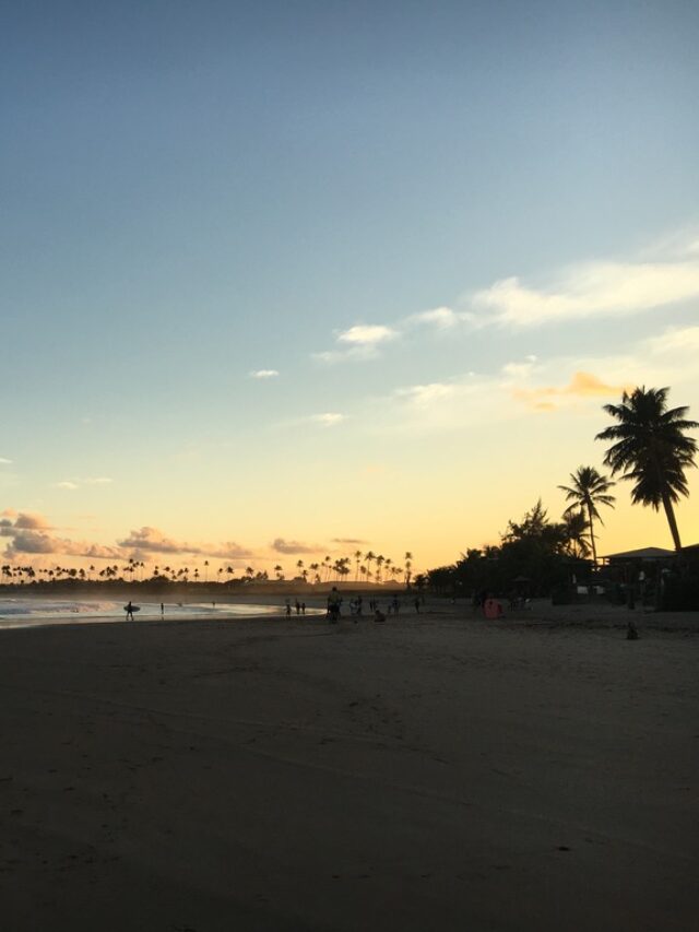cropped-1E00ABF3-1AA2-4A69-A00D-DBEF75C73E8C_1_105_c.jpeg