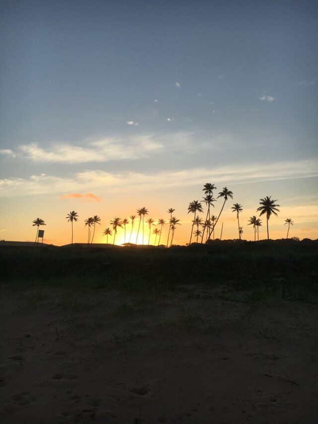 cropped-71321A39-C9F3-4948-94A2-84E26315A1AE_1_105_c.jpeg